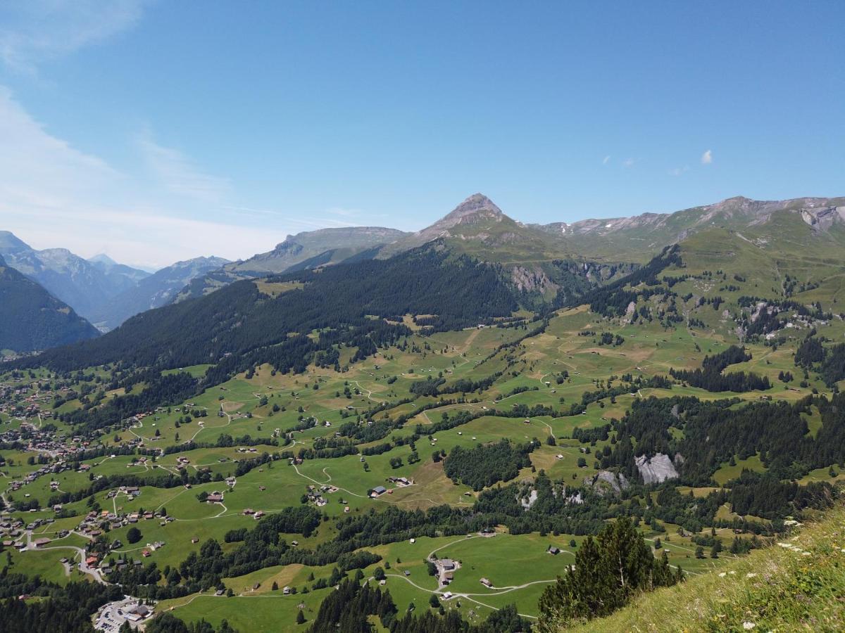 Chalet Pfyffer - Mountain View กรินเดลวัลด์ ภายนอก รูปภาพ
