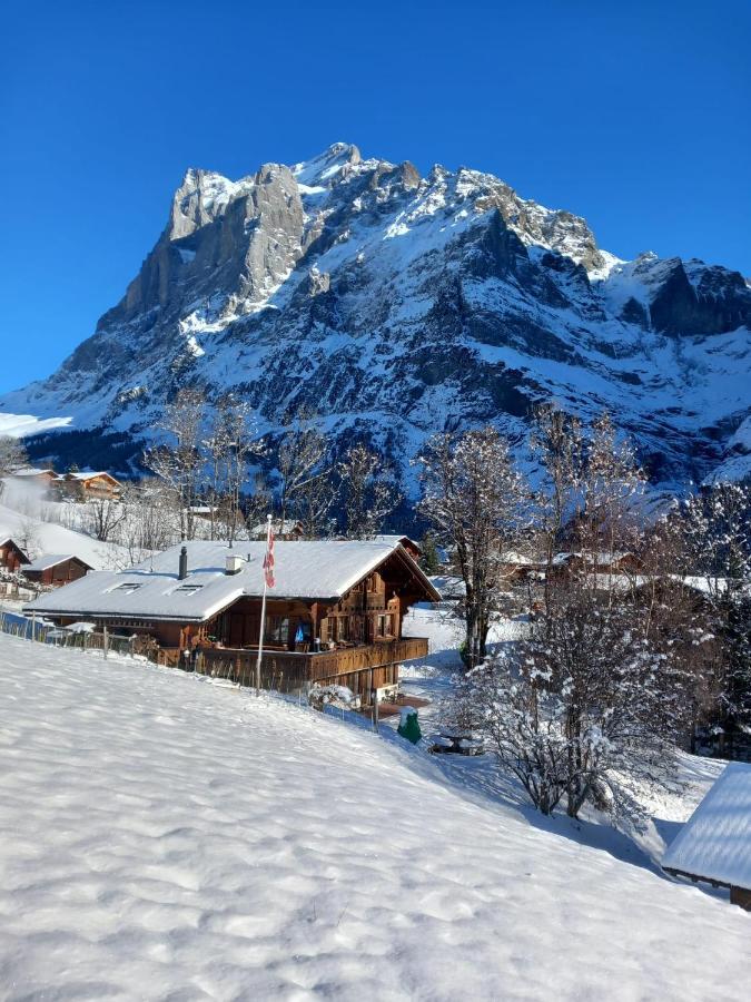 Chalet Pfyffer - Mountain View กรินเดลวัลด์ ภายนอก รูปภาพ