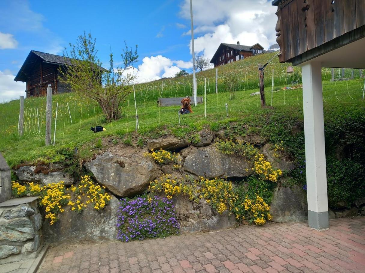 Chalet Pfyffer - Mountain View กรินเดลวัลด์ ภายนอก รูปภาพ
